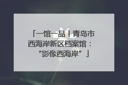 一馆一品丨青岛市西海岸新区档案馆：“影像西海岸”
