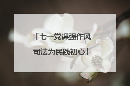 七一党课强作风 司法为民践初心