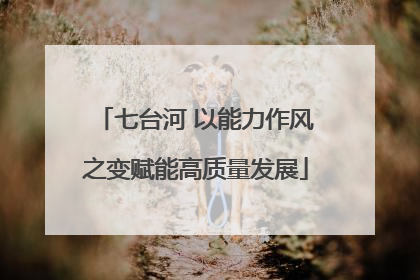 七台河 以能力作风之变赋能高质量发展