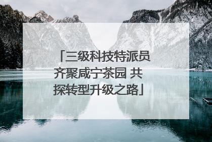 三级科技特派员齐聚咸宁茶园 共探转型升级之路
