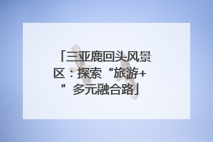 三亚鹿回头风景区：探索“旅游+”多元融合路