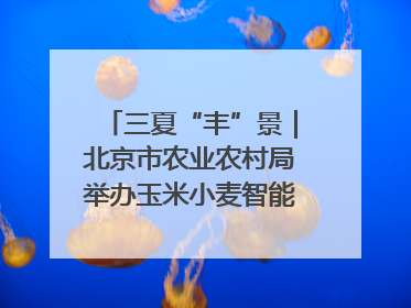 三夏“丰”景｜北京市农业农村局举办玉米小麦智能农机装备推广“田间日”活动