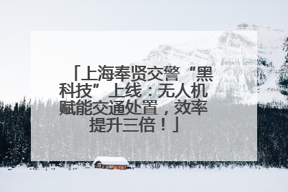 上海奉贤交警“黑科技”上线：无人机赋能交通处置，效率提升三倍！