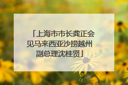 上海市市长龚正会见马来西亚沙捞越州副总理沈桂贤