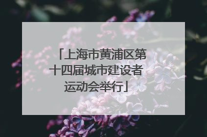 上海市黄浦区第十四届城市建设者运动会举行