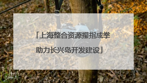 上海整合资源攥指成拳助力长兴岛开发建设