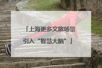 上海更多文旅场景引入“智慧大脑”