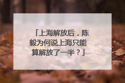 上海解放后，陈毅为何说上海只能算解放了一半？