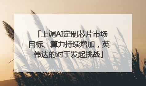 上调AI定制芯片市场目标、算力持续增加，英伟达的对手发起挑战