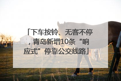 下车按铃、无客不停，青岛新增10条“响应式”停靠公交线路