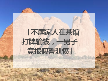 不满家人在茶馆打牌输钱，一男子竟报假警泄愤