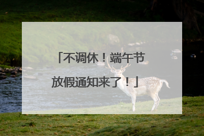 不调休！端午节放假通知来了！