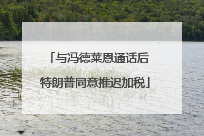 与冯德莱恩通话后 特朗普同意推迟加税