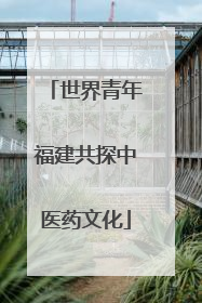 世界青年福建共探中医药文化