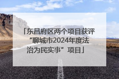 东昌府区两个项目获评“聊城市2024年度法治为民实事”项目