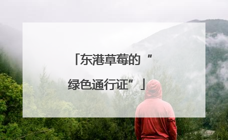 东港草莓的“绿色通行证”
