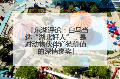 东湖评论：白马当选“湖北好人”，是对动物伙伴道德价值的深情褒奖