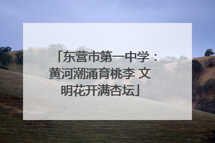 东营市第一中学：黄河潮涌育桃李 文明花开满杏坛