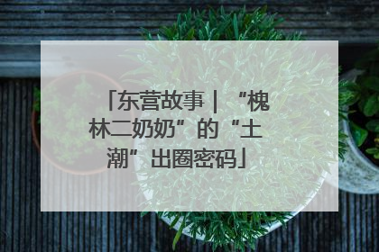 东营故事｜“槐林二奶奶”的“土潮”出圈密码