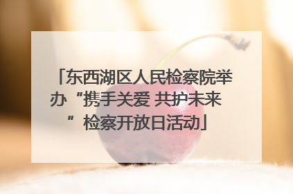 东西湖区人民检察院举办“携手关爱 共护未来”检察开放日活动
