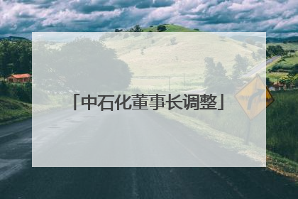 中石化董事长调整