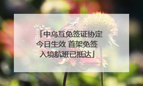 中乌互免签证协定今日生效 首架免签入境航班已抵达