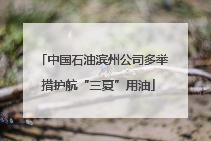 中国石油滨州公司多举措护航“三夏”用油