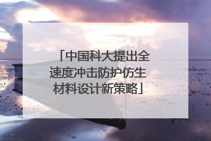 中国科大提出全速度冲击防护仿生材料设计新策略