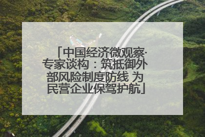 中国经济微观察·专家谈构：筑抵御外部风险制度防线 为民营企业保驾护航