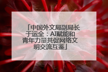 中国外文局副局长于运全：AI赋能和青年力量共促网络文明交流互鉴