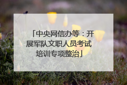 中央网信办等：开展军队文职人员考试培训专项整治