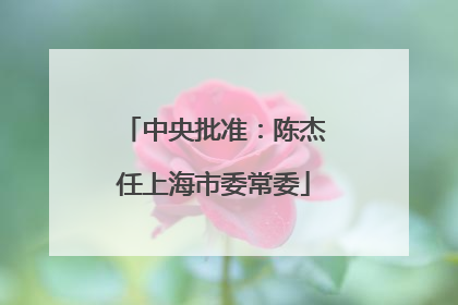 中央批准：陈杰任上海市委常委