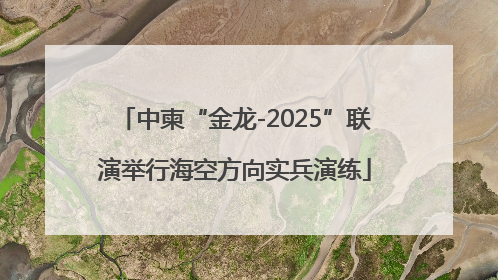 中柬“金龙-2025”联演举行海空方向实兵演练