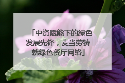 中资赋能下的绿色发展先锋，麦当劳铸就绿色餐厅网络