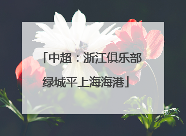 中超：浙江俱乐部绿城平上海海港