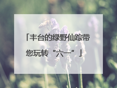 丰台的绿野仙踪带您玩转“六一”