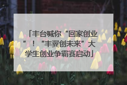 丰台喊你“回家创业”！“丰翼创未来”大学生创业争霸赛启动