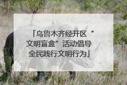 乌鲁木齐经开区“文明盲盒”活动倡导全民践行文明行为
