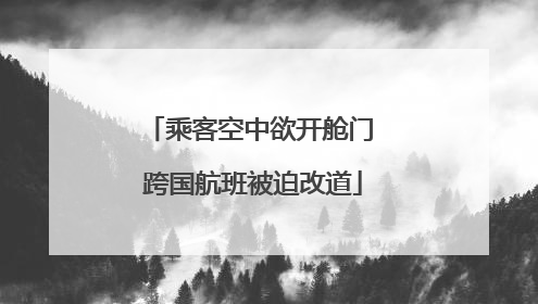 乘客空中欲开舱门 跨国航班被迫改道