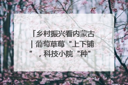 乡村振兴看内蒙古｜葡萄草莓“上下铺”，科技小院“种”出三倍效益