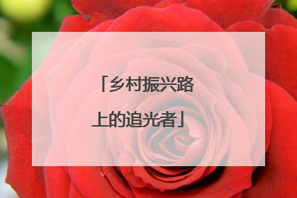 乡村振兴路上的追光者