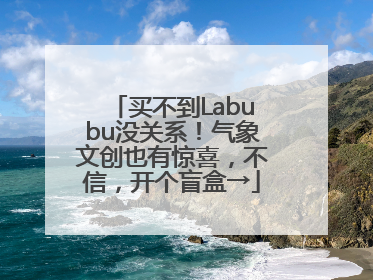 买不到Labubu没关系！气象文创也有惊喜，不信，开个盲盒→