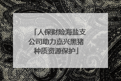 人保财险海盐支公司助力嘉兴黑猪种质资源保护