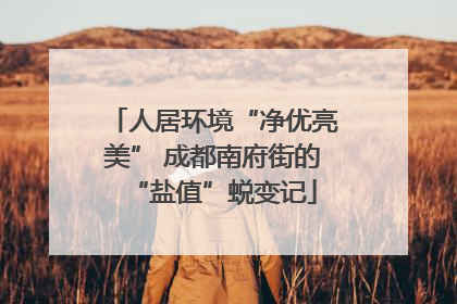 人居环境“净优亮美” 成都南府街的“盐值”蜕变记