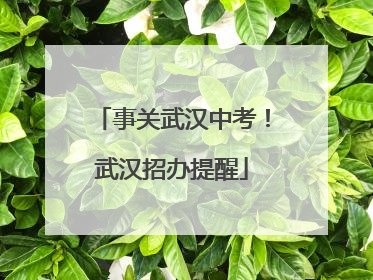 事关武汉中考！武汉招办提醒