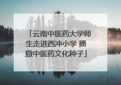 云南中医药大学师生走进西冲小学 播撒中医药文化种子