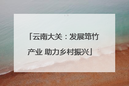 云南大关：发展筇竹产业 助力乡村振兴