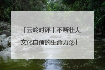 云岭时评丨不断壮大文化自信的生命力②