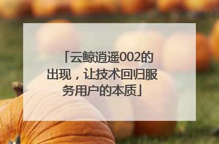 云鲸逍遥002的出现，让技术回归服务用户的本质