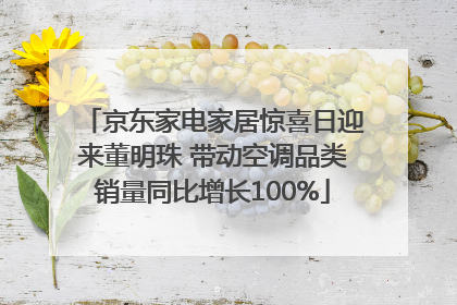 京东家电家居惊喜日迎来董明珠 带动空调品类销量同比增长100%